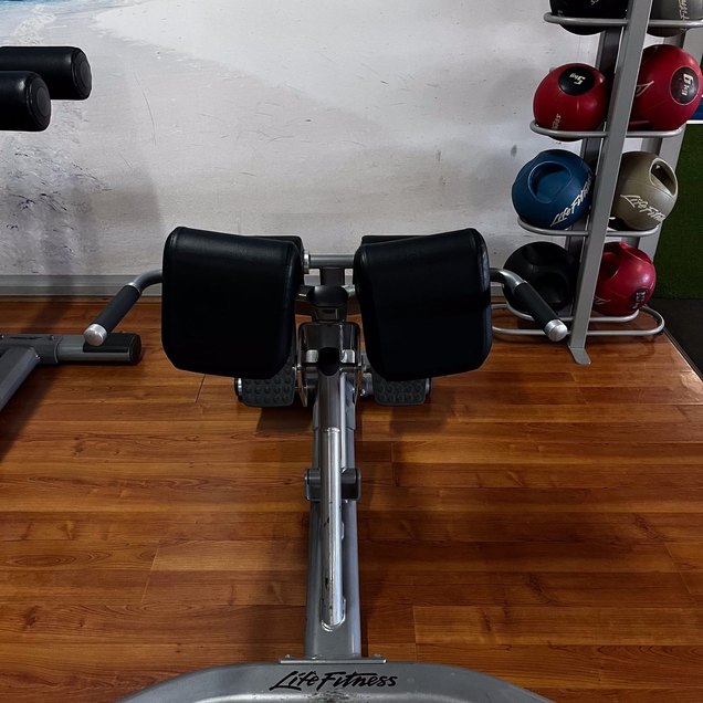 45° Hyper Extension - targets Back