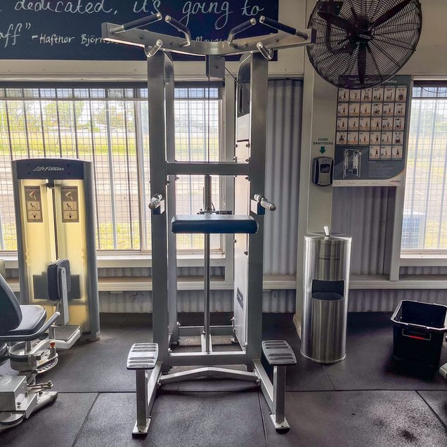 Assisted Dip Machine - targets Triceps