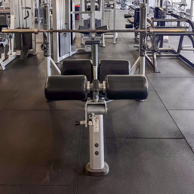 Decline Bench - targets Chest