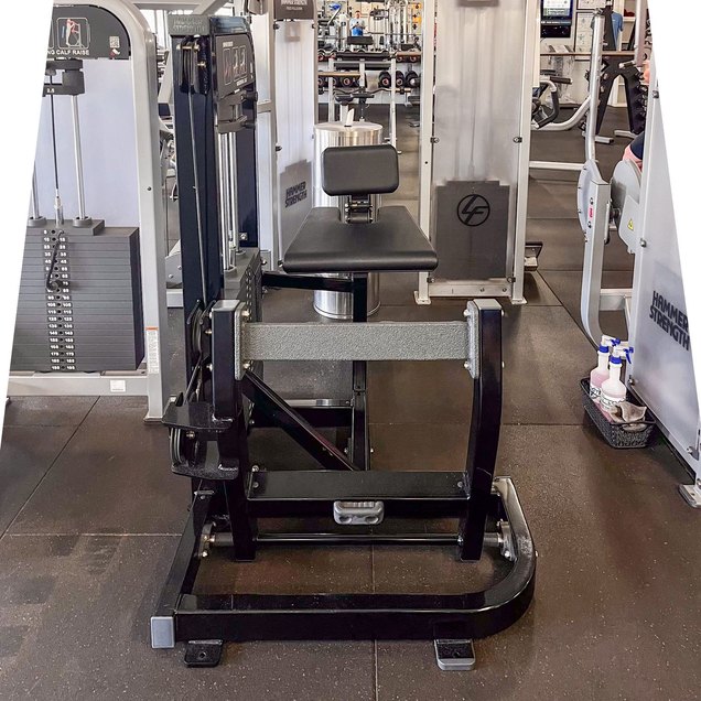 Horizontal Calf Raise - targets Calves