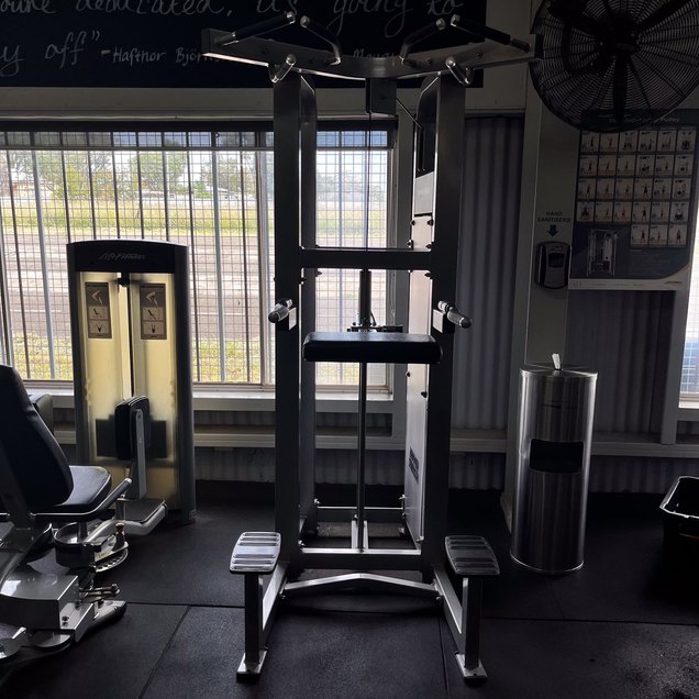 Assisted Chin-Up / Dip - targets Arms