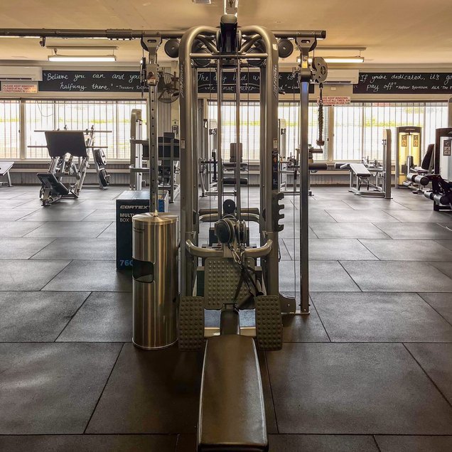 Seated Row - targets Back