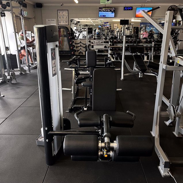 Seated Leg Curl - targets Legs