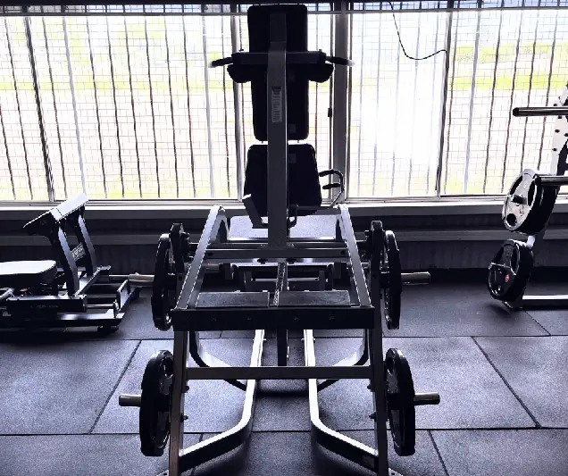 V-Squat Machine - targets Legs