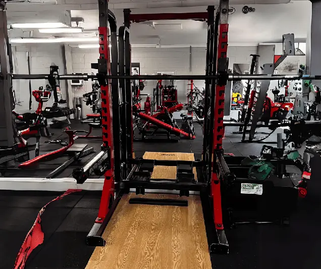 Plate-Loaded Squat Rack - targets Legs
