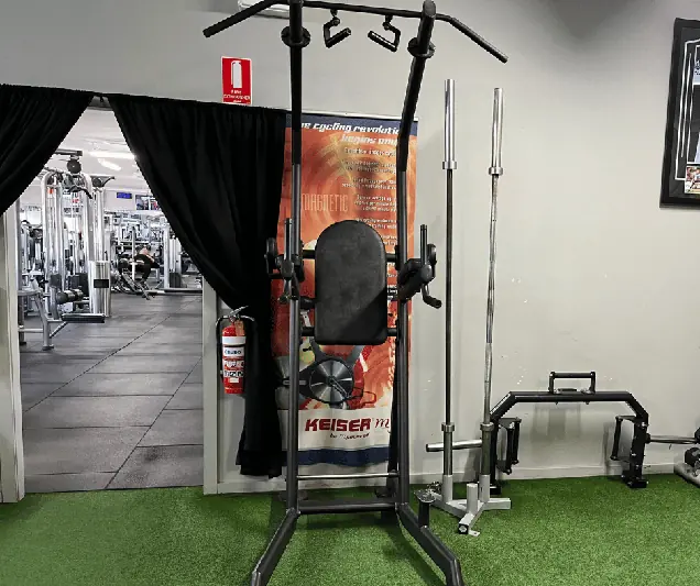 Ab & Dip Station - targets Abs