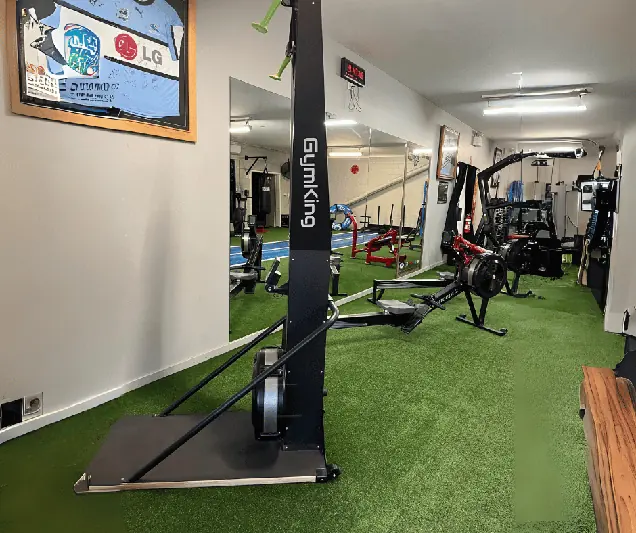 Ski Machine - targets Cardio