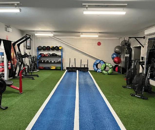 Sled Track - targets Legs